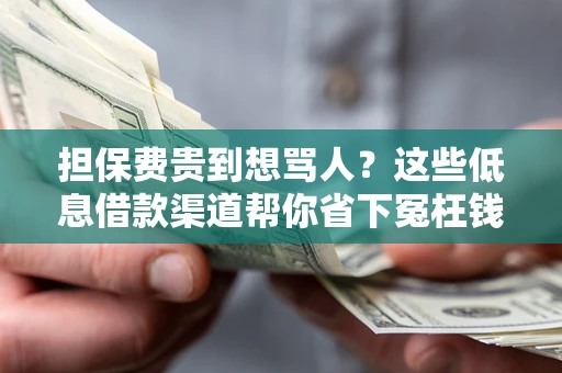 济南担保费贵到想骂人？这些低息借款渠道帮你省下冤枉钱