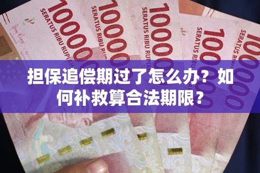 济南担保追偿期过了怎么办？如何补救算合法期限？