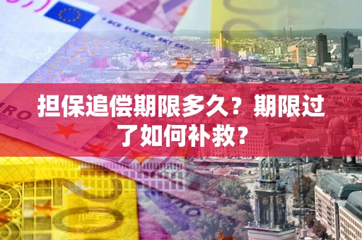 济南担保追偿期限多久？期限过了如何补救？
