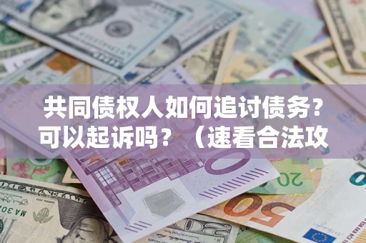 济南共同债权人如何追讨债务？可以起诉吗？（速看合法攻略）