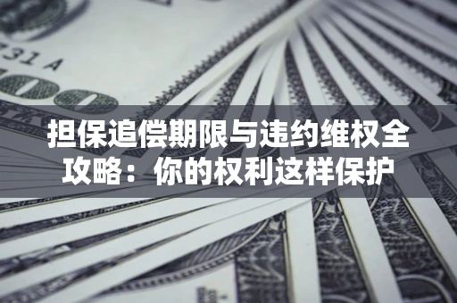 济南担保追偿期限与违约维权全攻略：你的权利这样保护